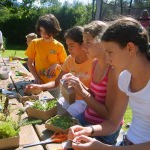 15 Meter über dem Boden (3. Tag)